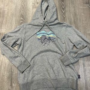 Patagonia Gray Hoodie with Blue and Yellow Accents